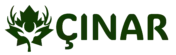 Site Title
